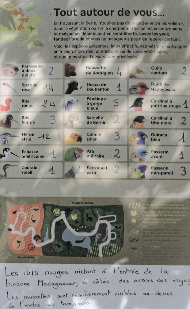 Tropical Greenhouse - free-flying bird list