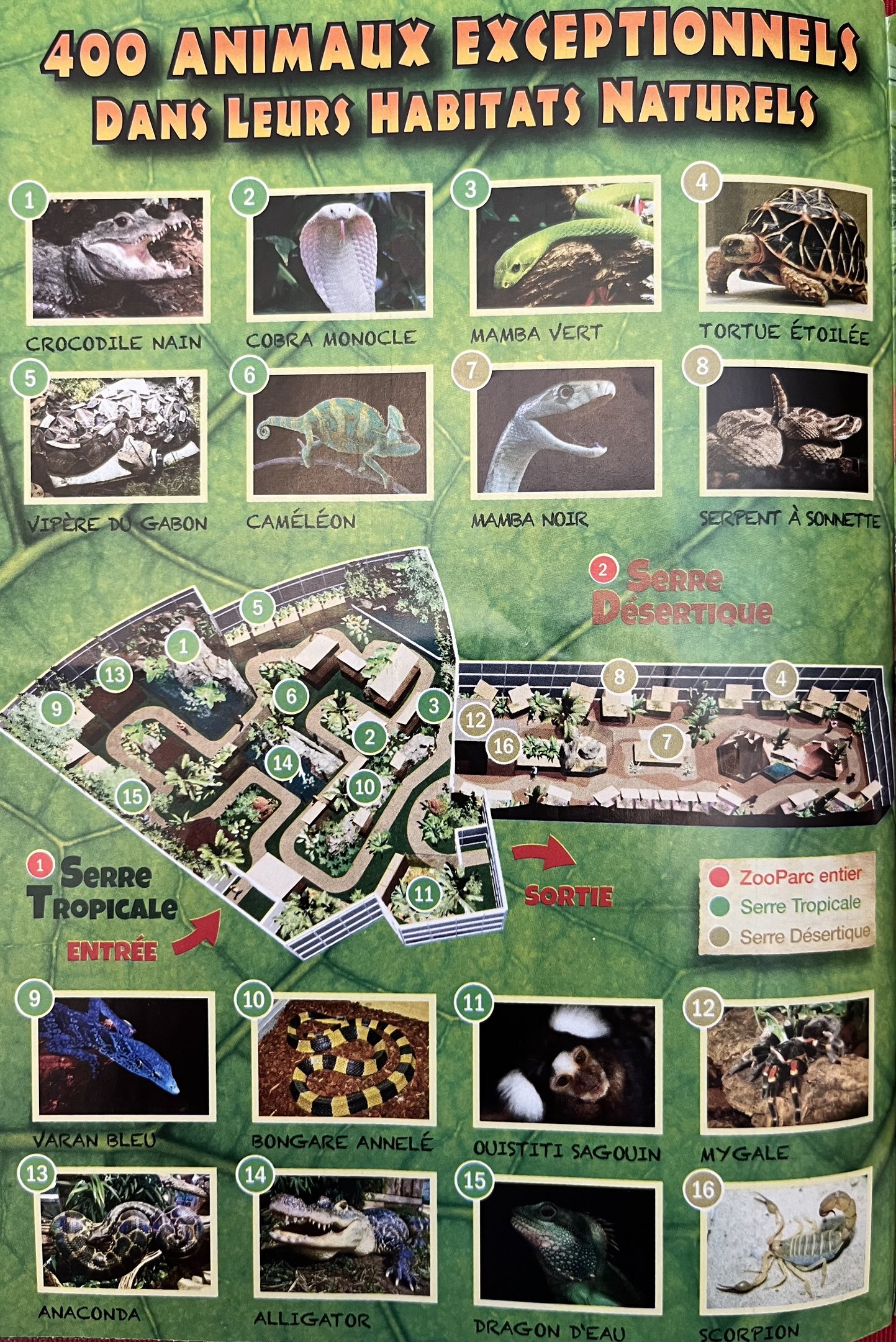 Tropical Greenhouse Map - 2022