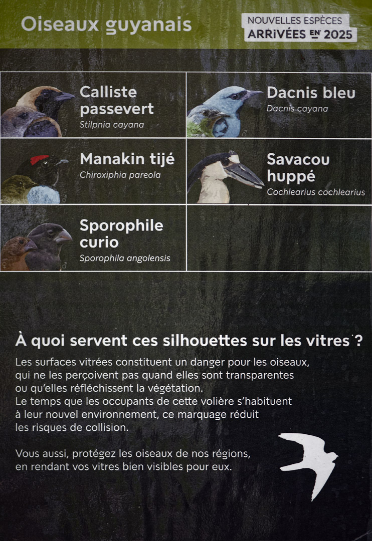 Tropical Greenhouse - new arrivals list