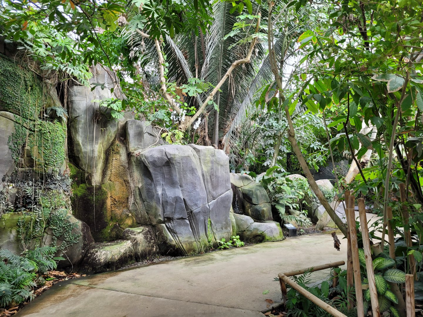 Tropical Greenhouse view -Parc Zoologique de Paris (2022)