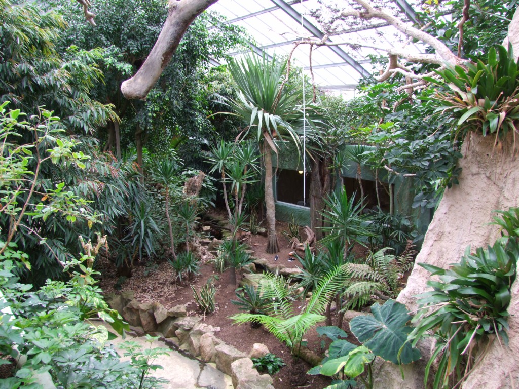 Tropical greenhouse
