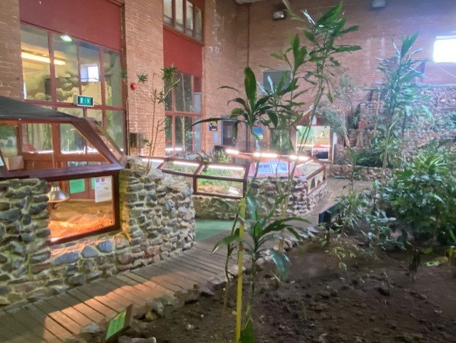 Tropical Hall 051122