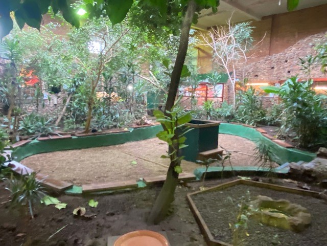 Tropical Hall 051122