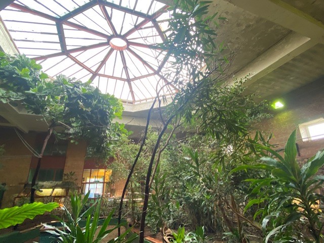 Tropical Hall 051122