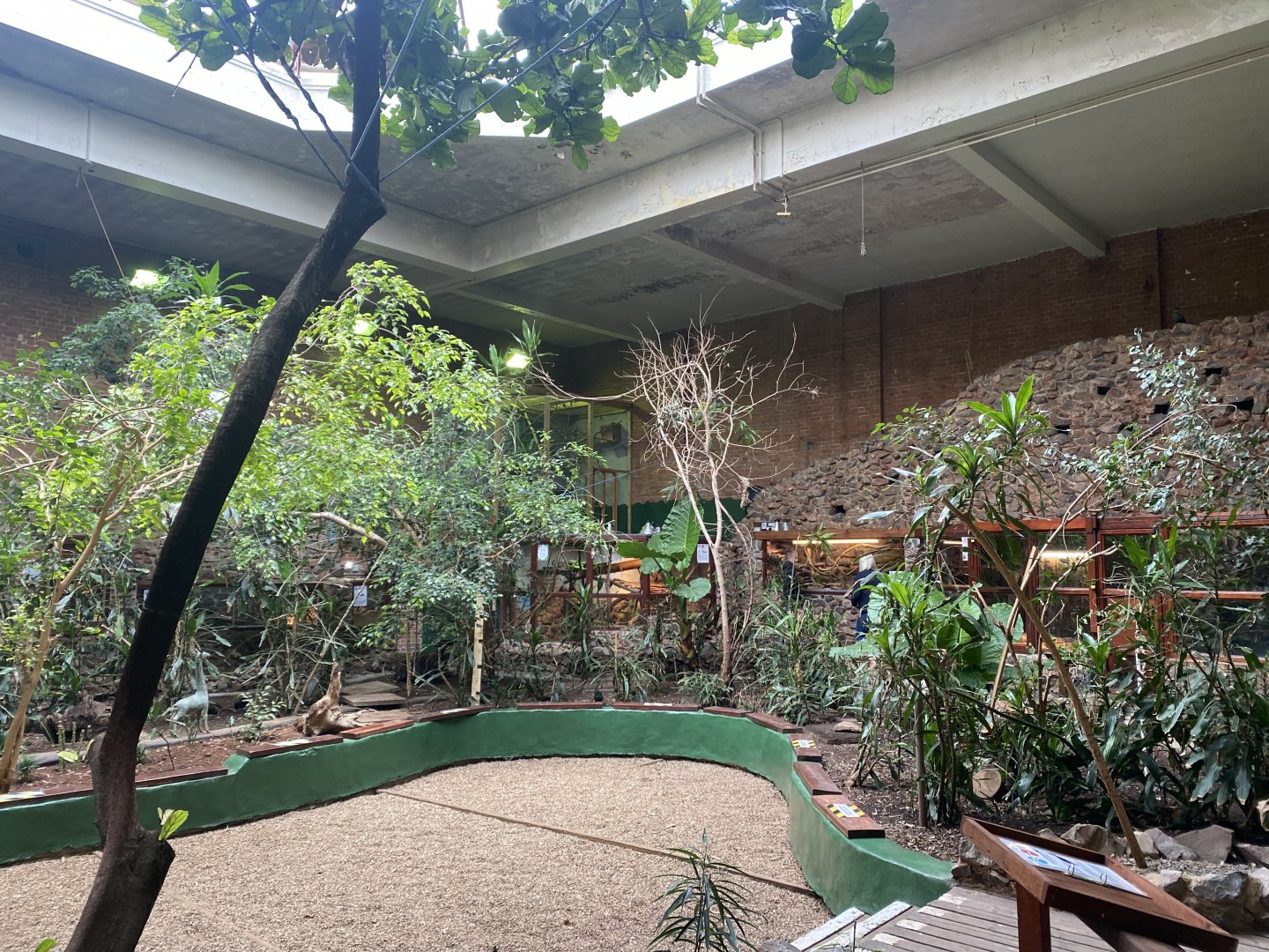 Tropical Hall 210621