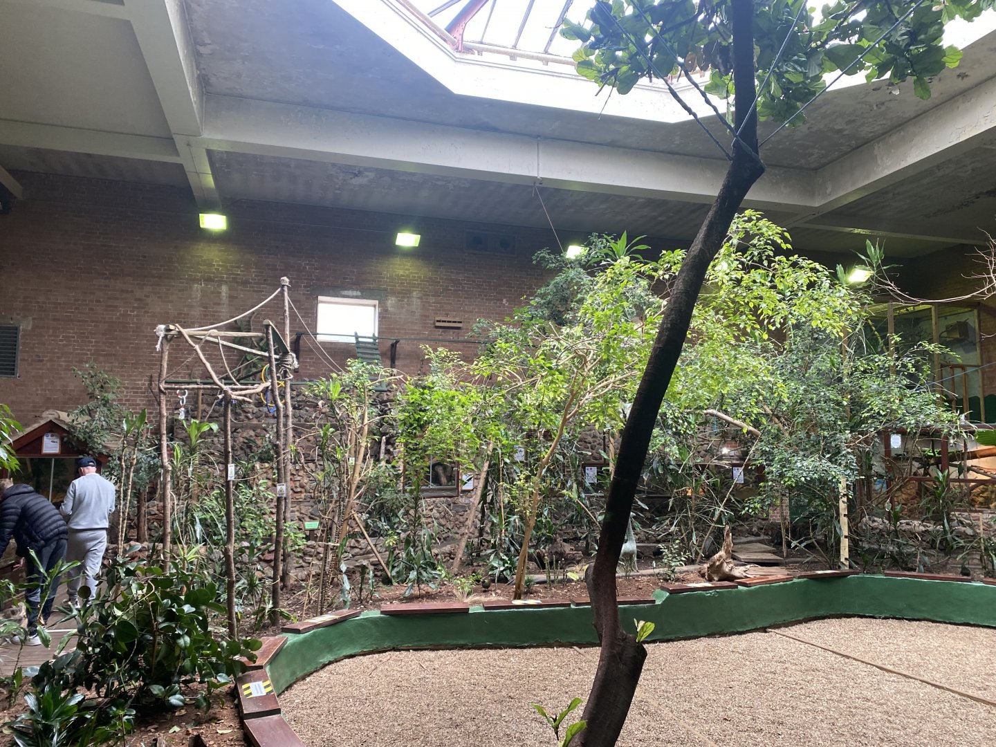 Tropical Hall 210621