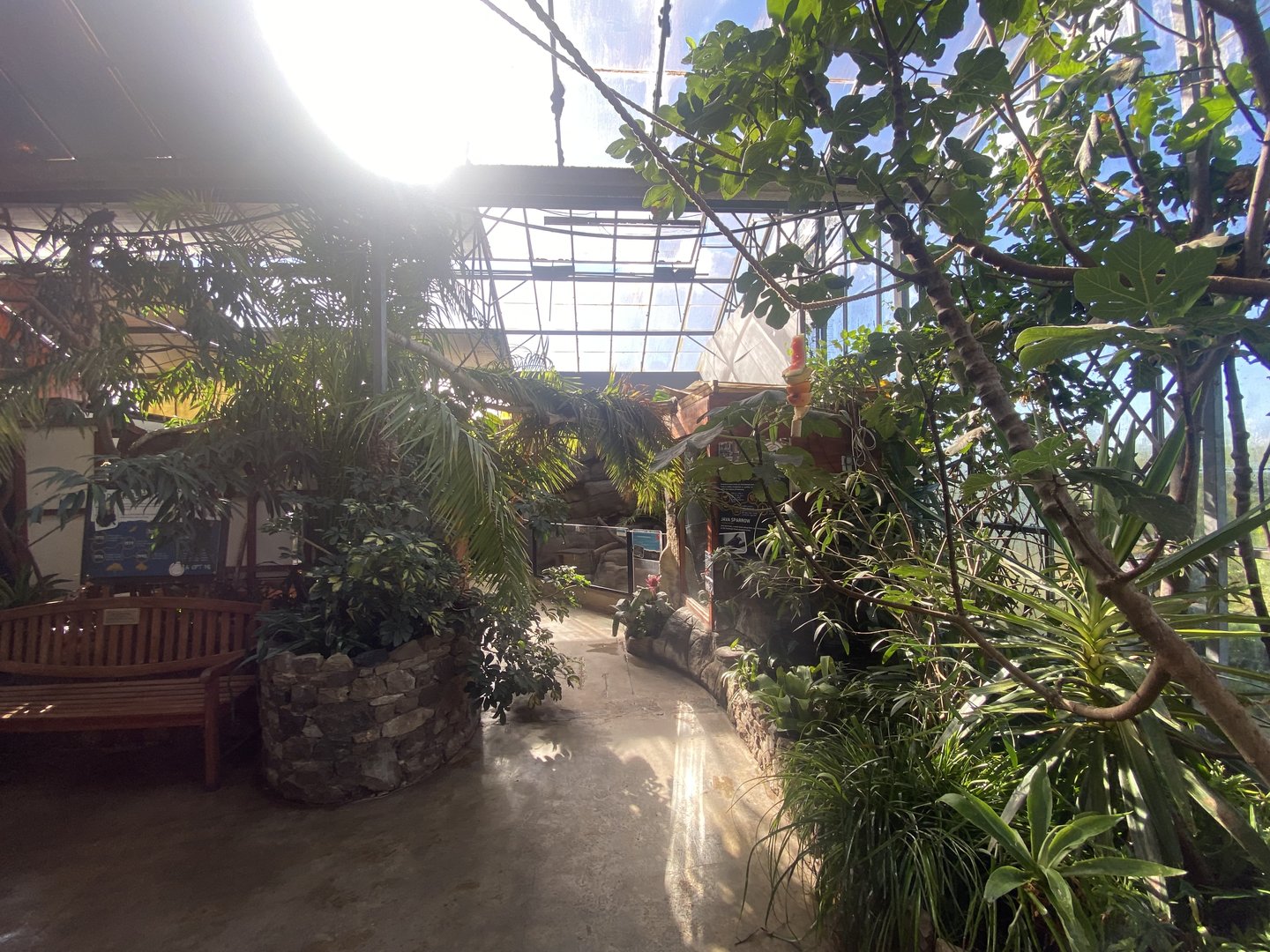 Tropical Hall 230922