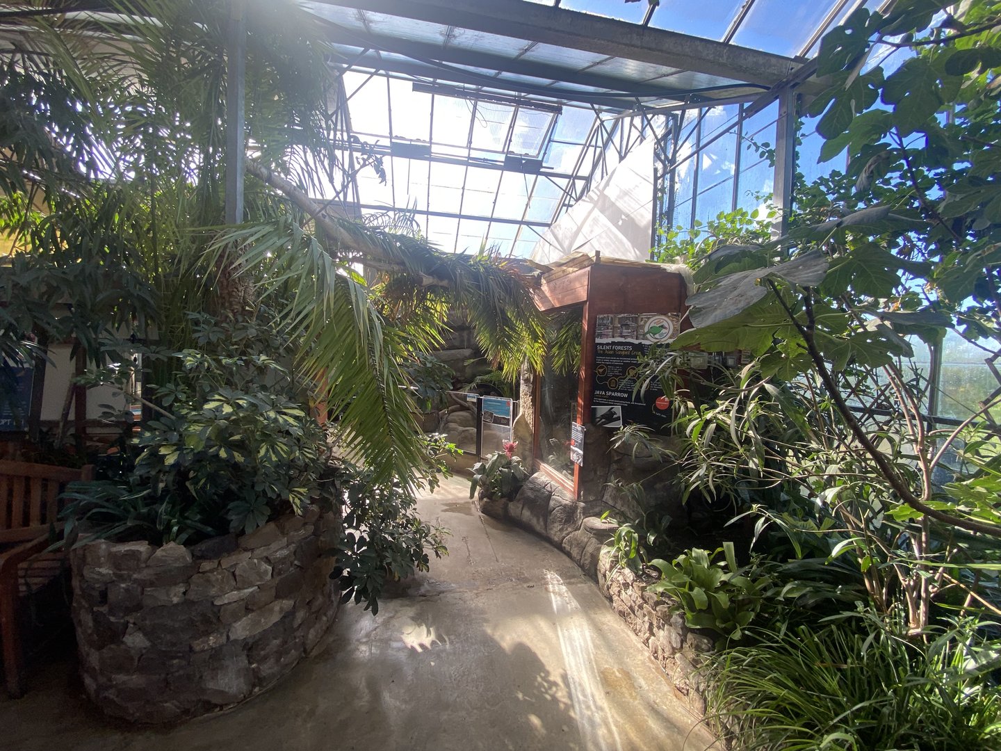 Tropical Hall 230922