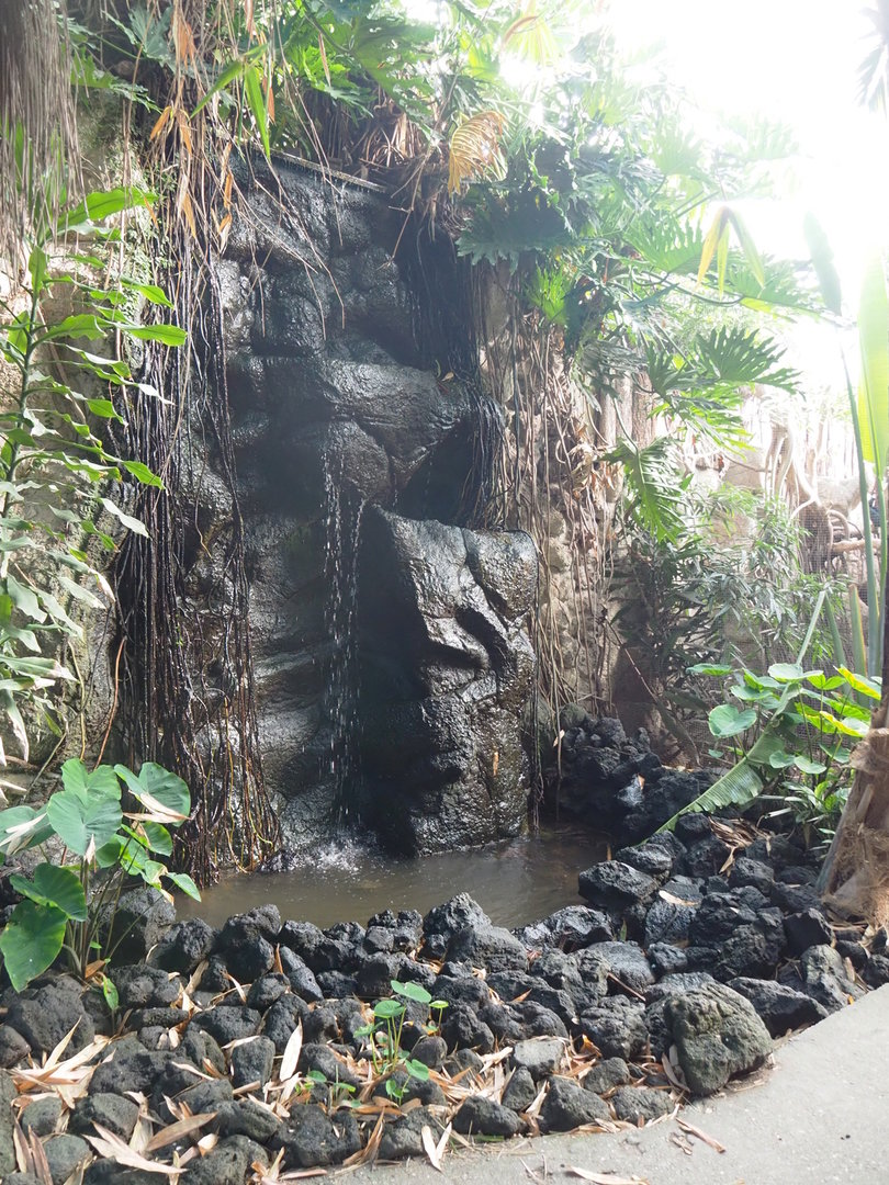 Tropical hall - Asian/Philippines section - Waterfall, 2022-08-28