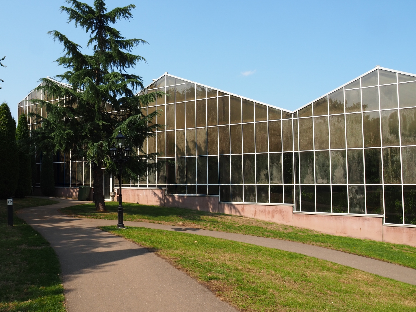 Tropical hall (Aug 28th, 2018)