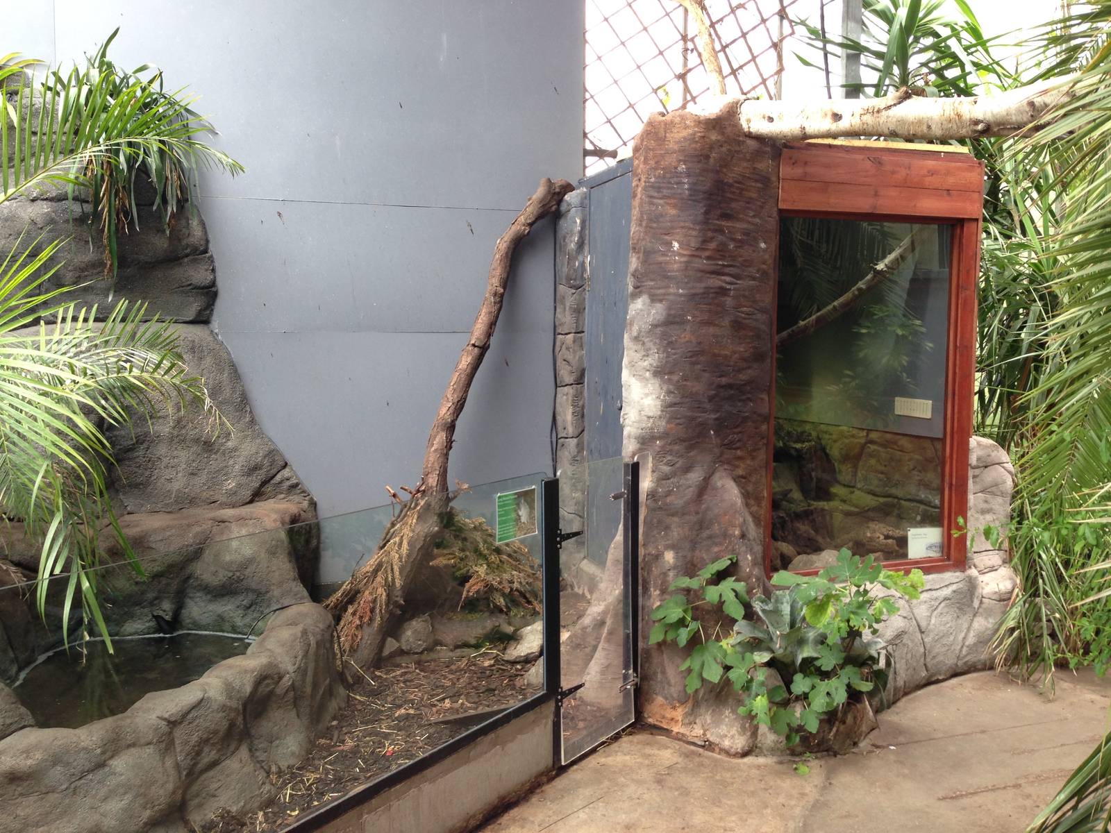 Tropical Hall Exhibits