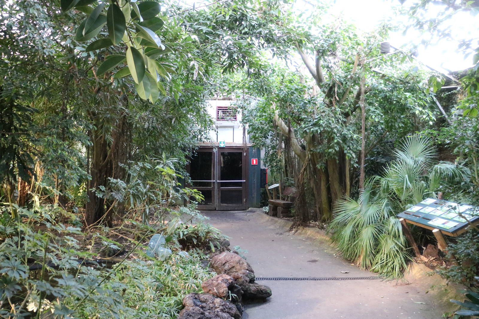 Tropical hall, February 2016
