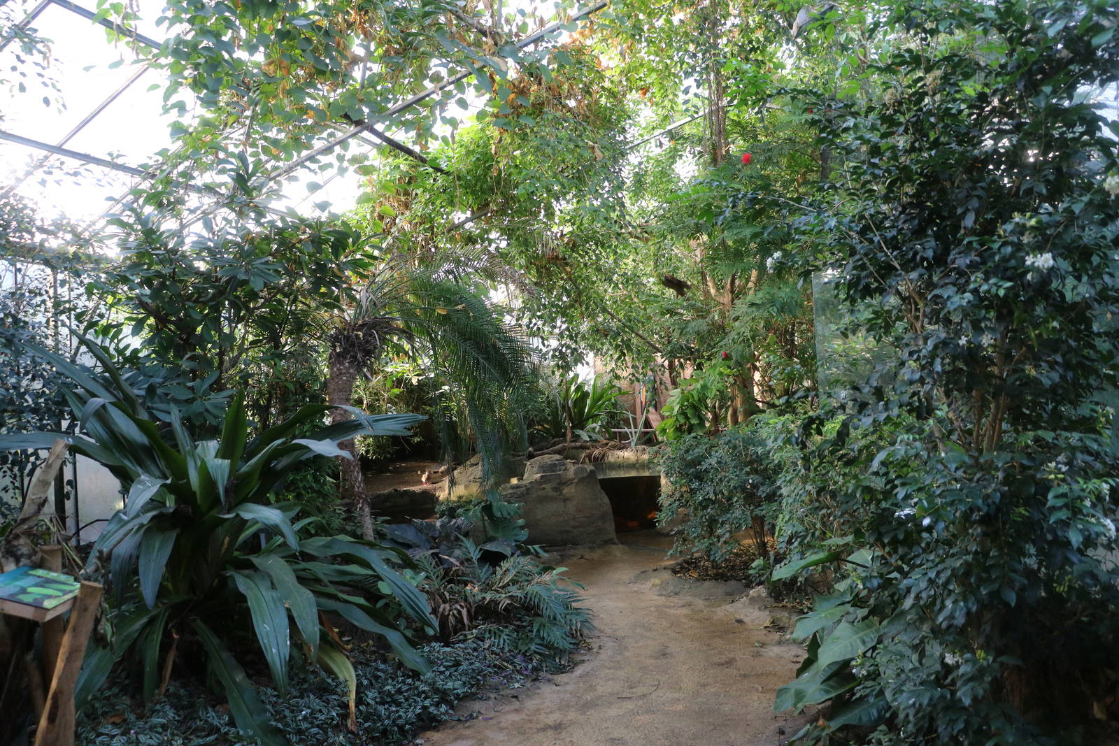 Tropical hall, February 2016