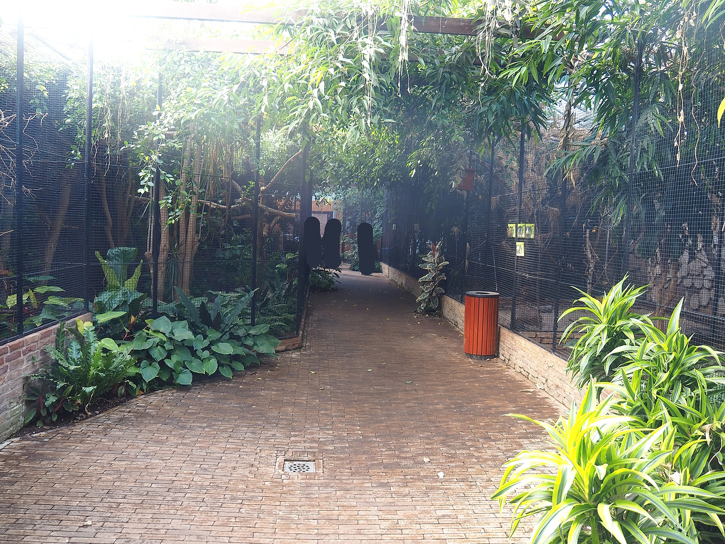 Tropical hall - Fourth section - Aviary section, 2022-08-28