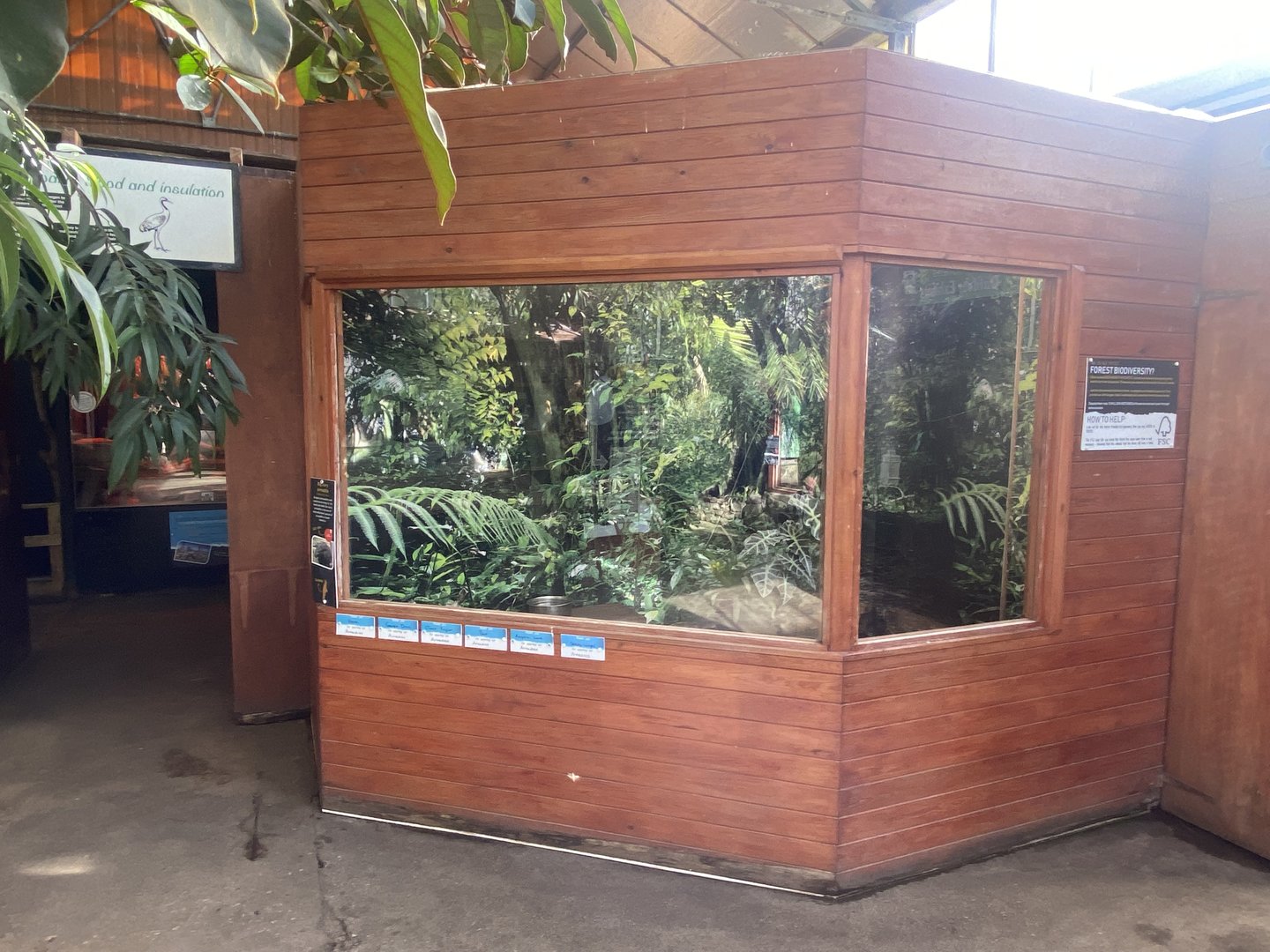 Tropical Hall - Large hairy armadillo exhibit 230922