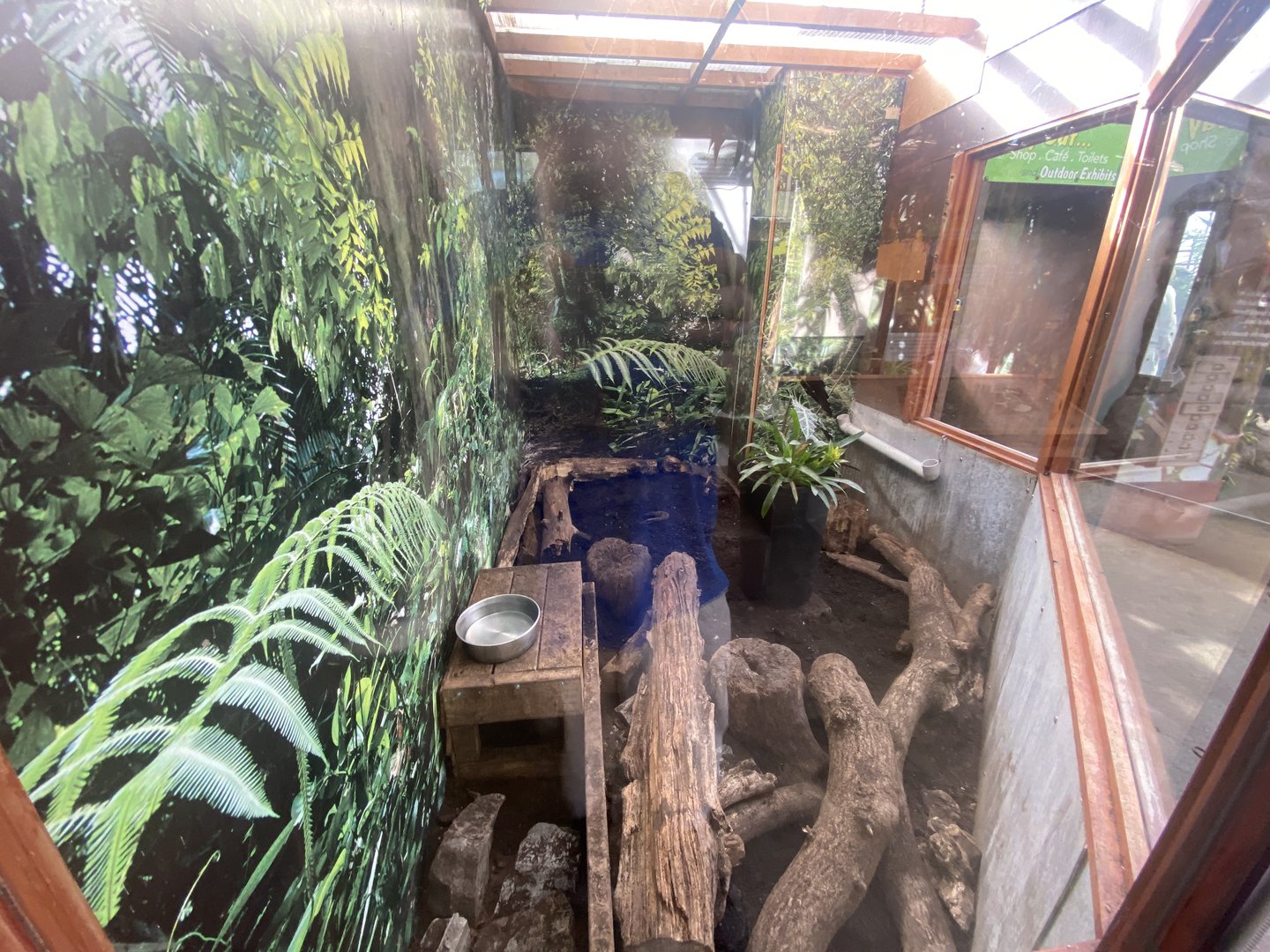 Tropical Hall -Large hairy armadillo exhibit 230922