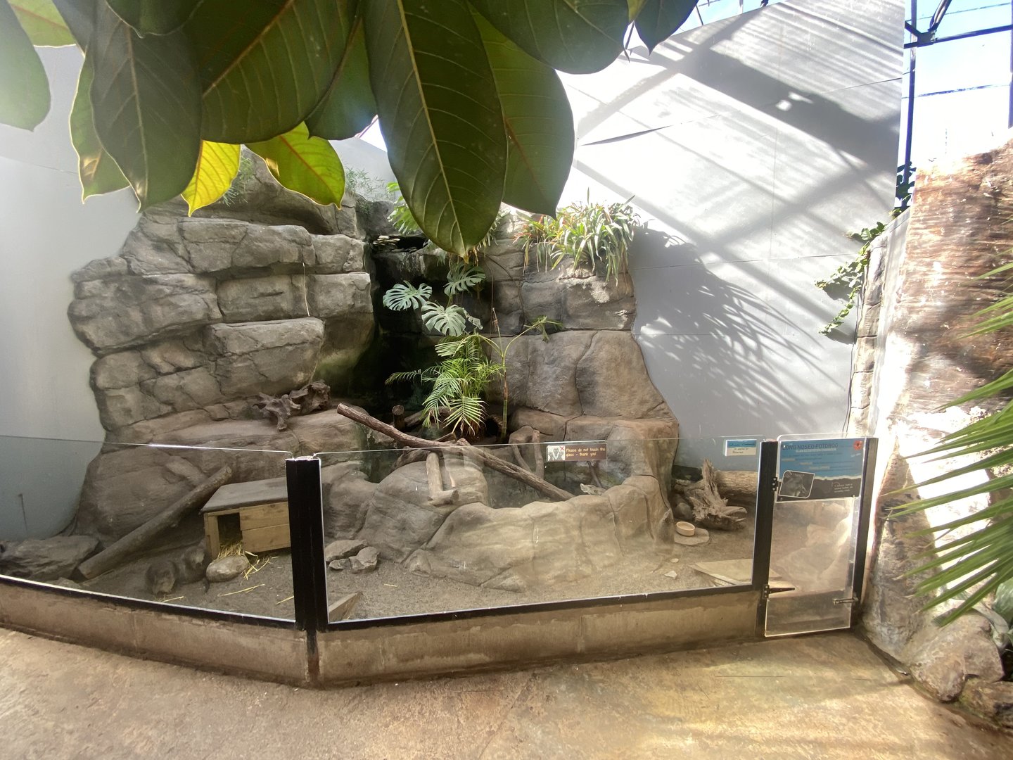 Tropical Hall - Long-nosed potoroo exhibit 230922
