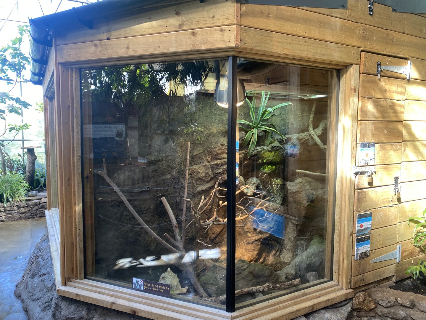 Tropical Hall - Mixed exhibit 230922