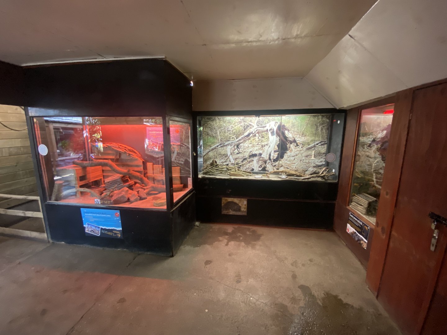 Tropical Hall - Nocturnal exhibits 230922