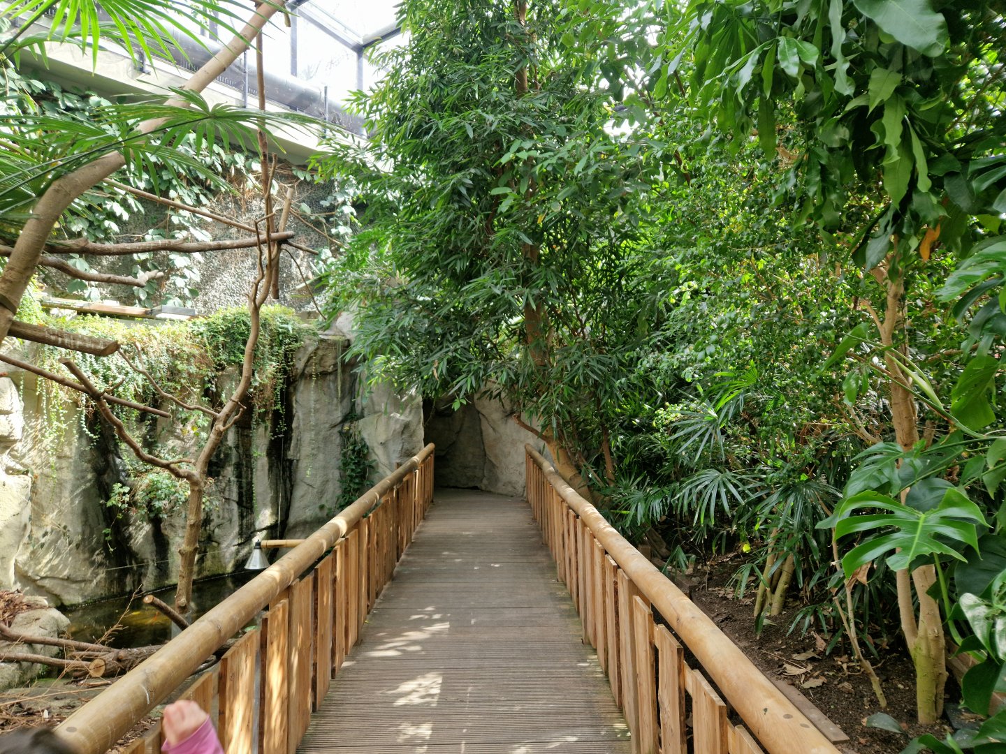 Tropical hall path