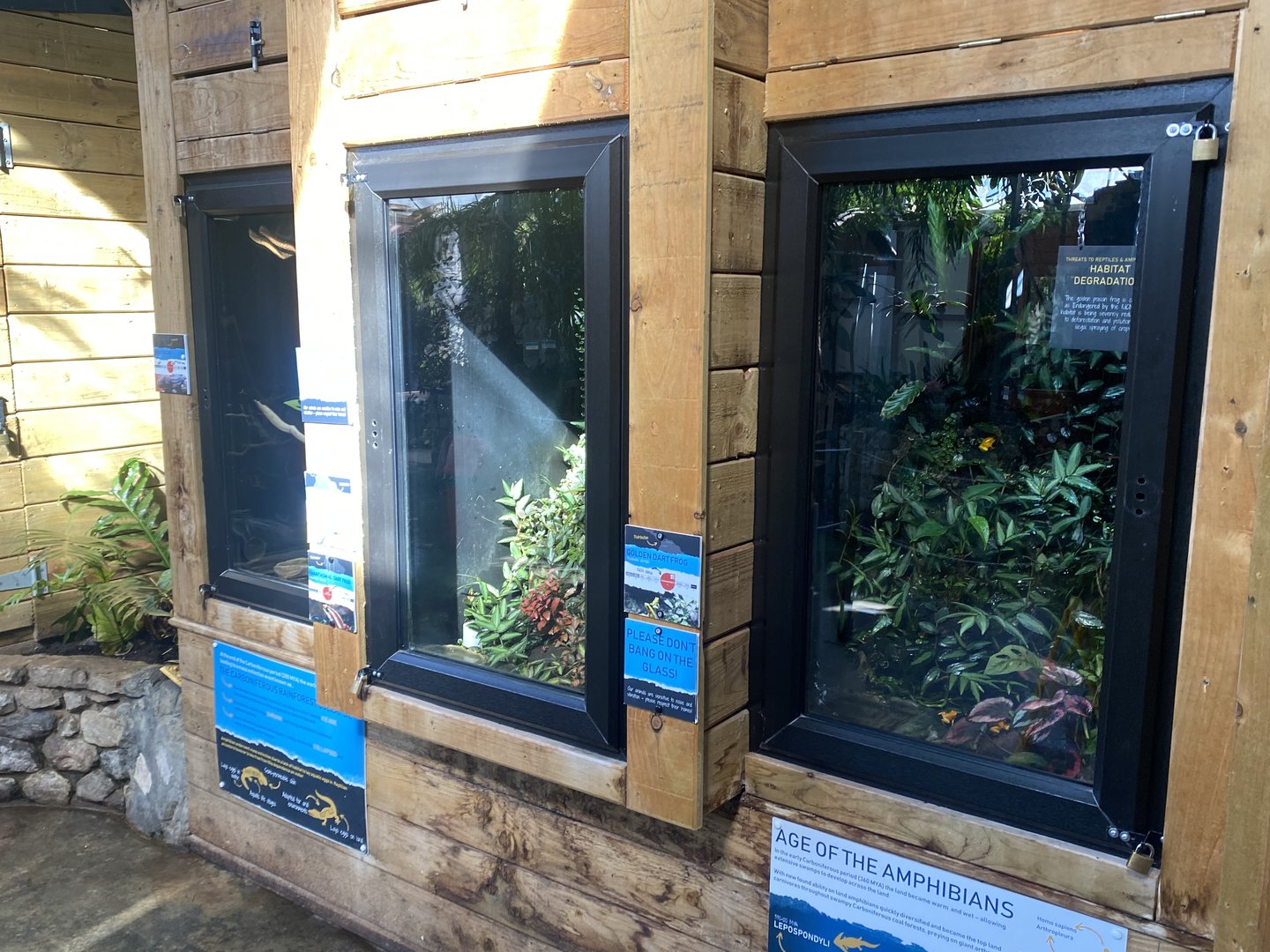 Tropical Hall - Poison dart frog exhibits 230922