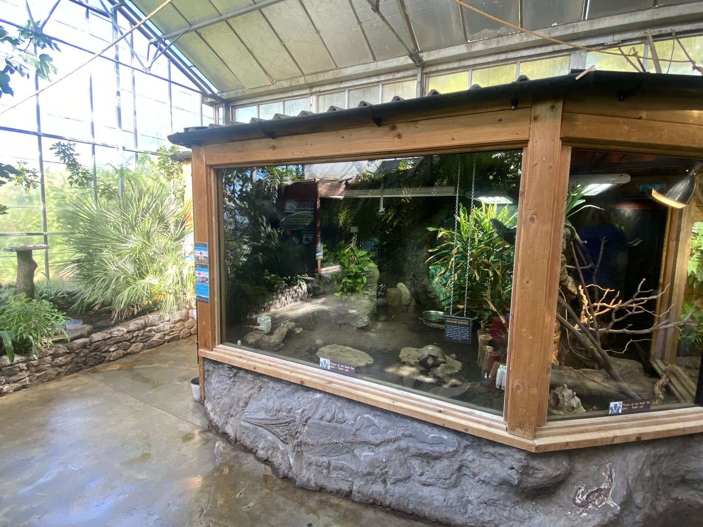 Tropical Hall - Red-footed tortoise and Cane toad exhibit 230922