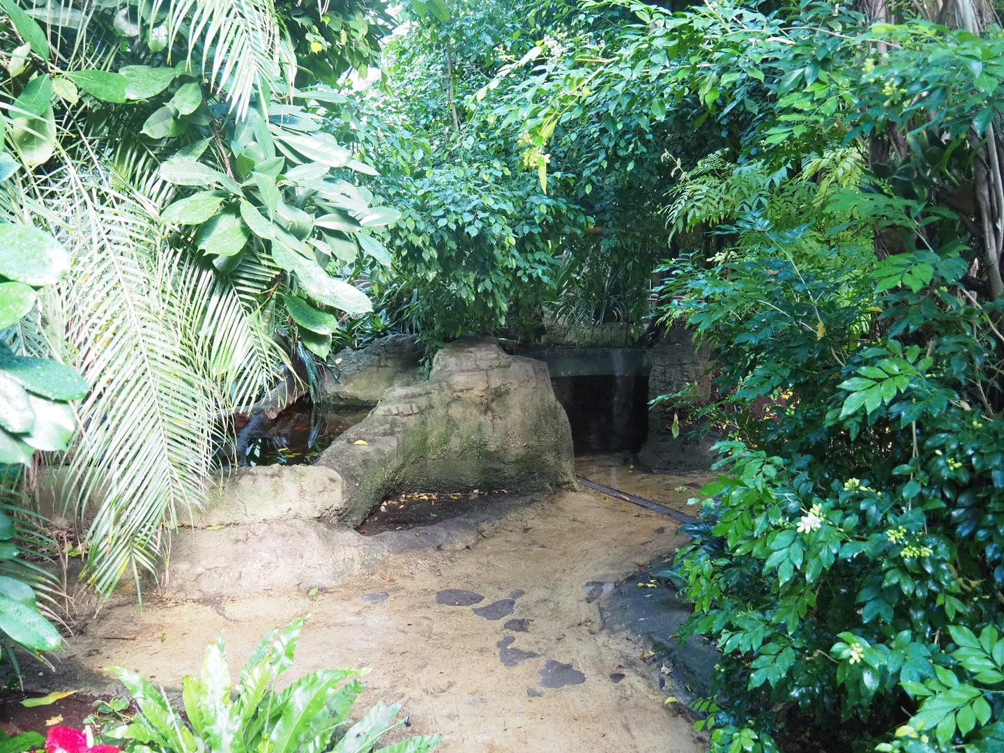 Tropical hall - Second walk-through section - Pantanal/South American section, walkway and pond, 2022-08-28