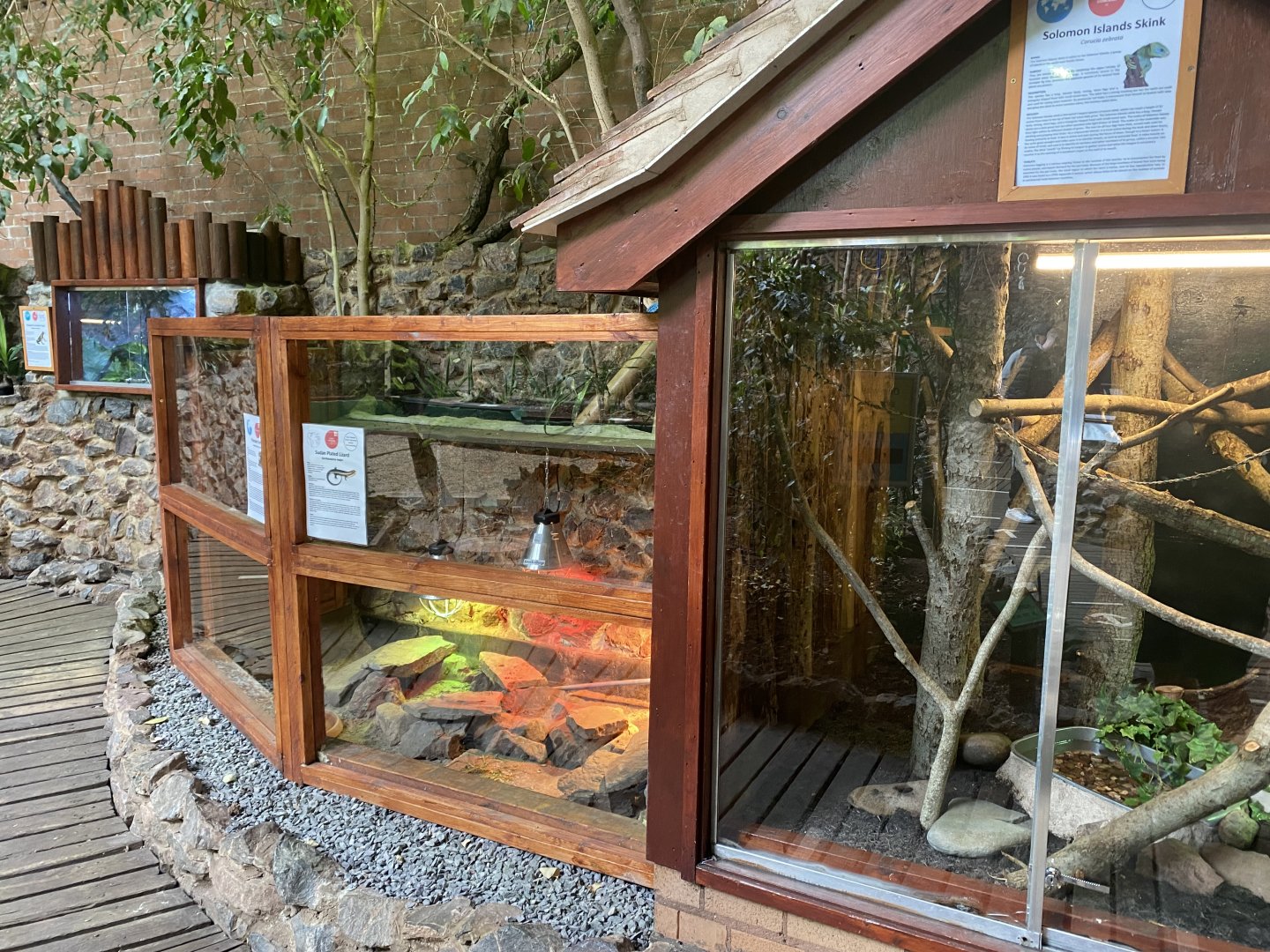 Tropical Hall - various reptile exhibits 210621