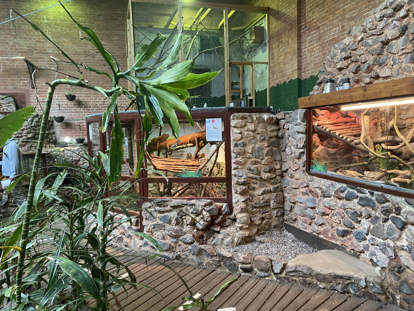 Tropical Hall - Various reptile exhibits 210621