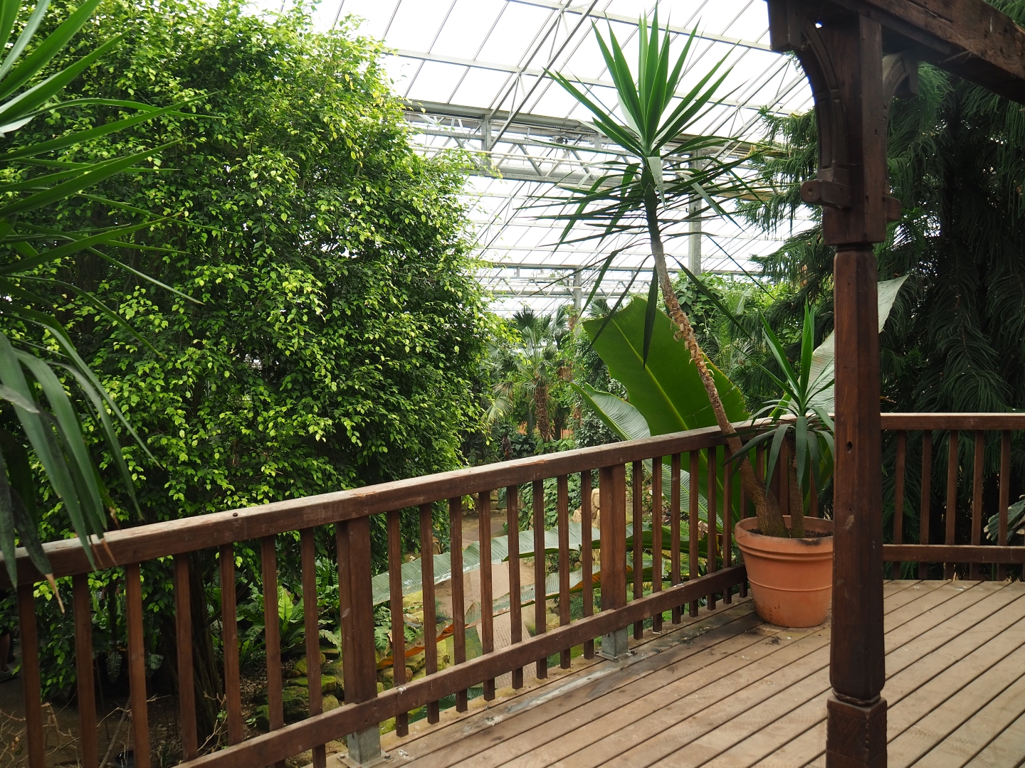 Tropical hall viewing deck (Aug 28th, 2018)