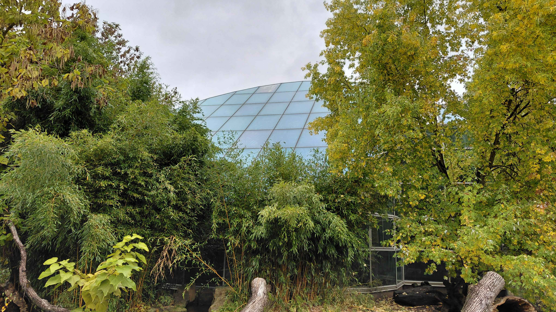 Tropical hall Yucatan