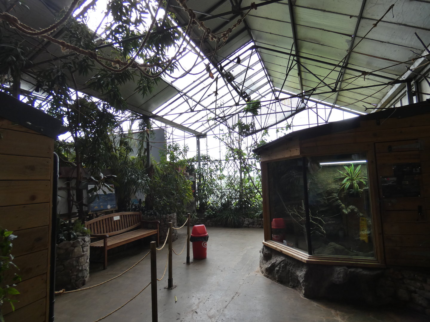 Tropical hall