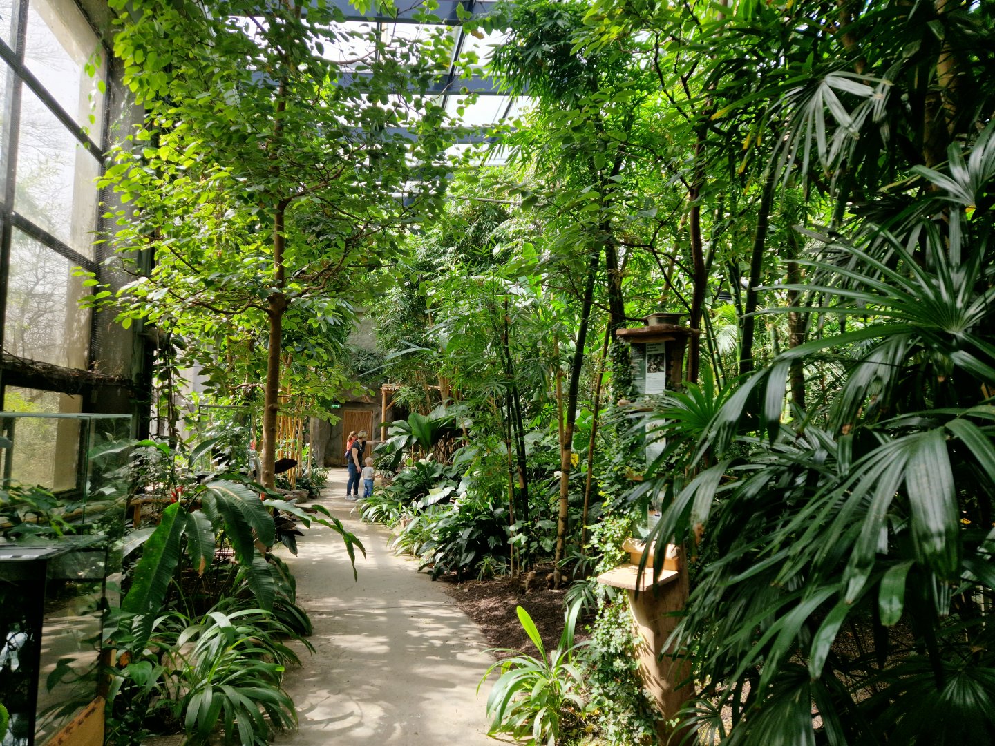Tropical hall