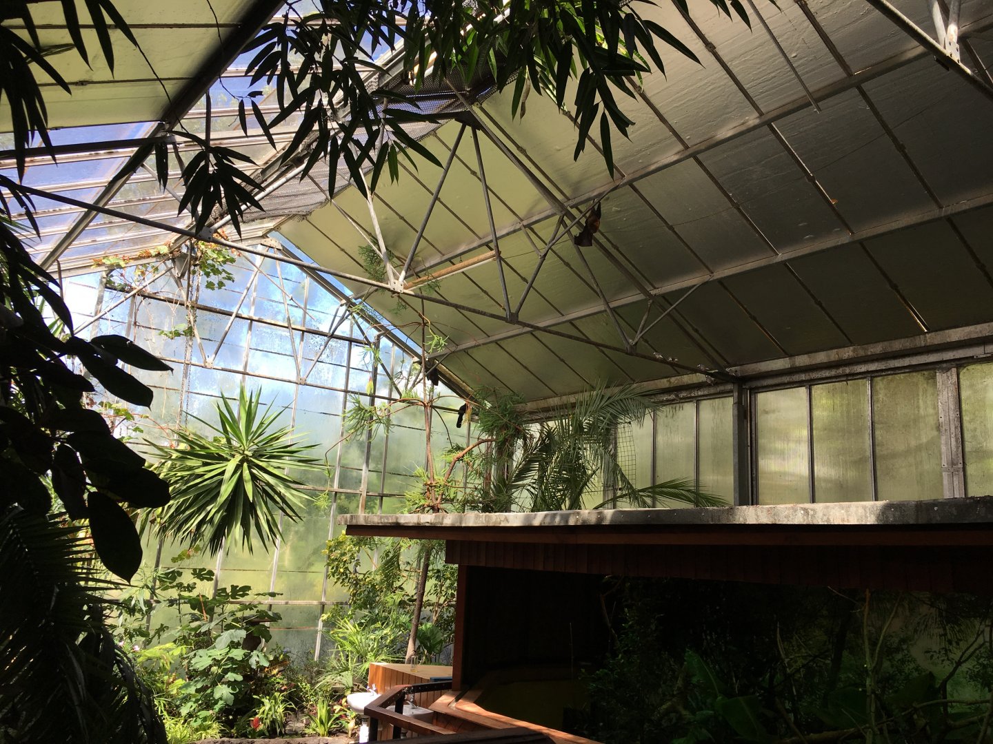 Tropical House 010817