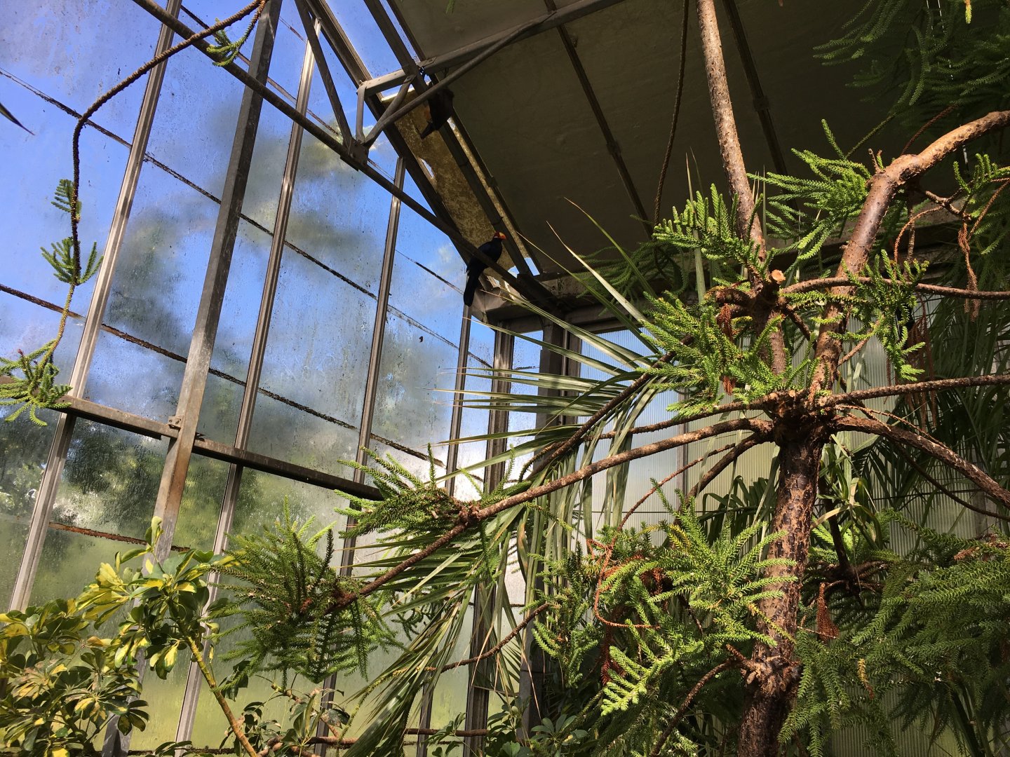 Tropical House 010817