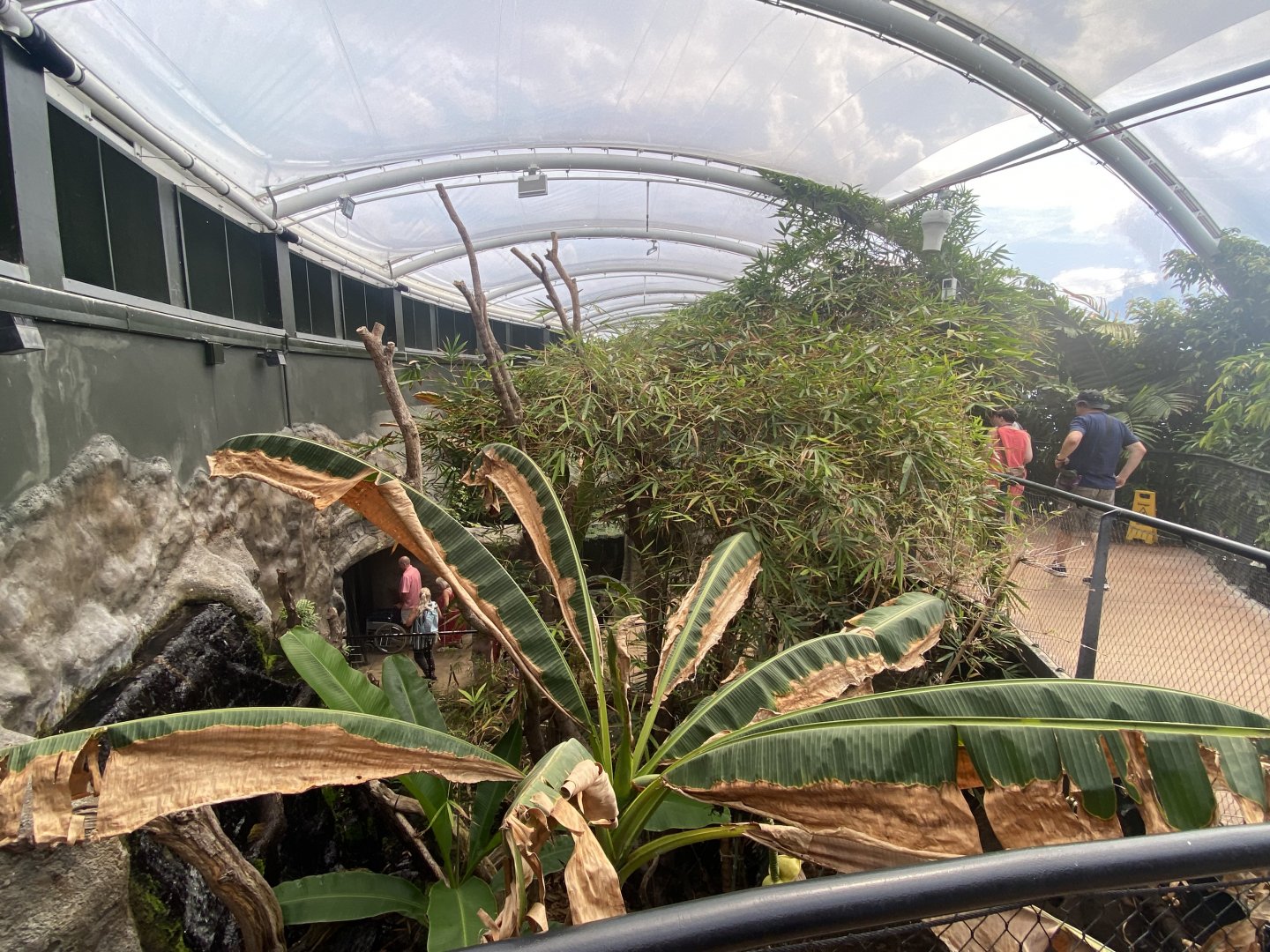 Tropical House 040822