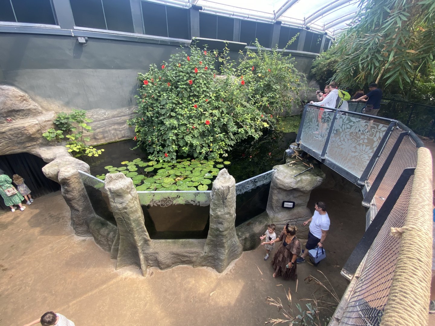 Tropical House 040822