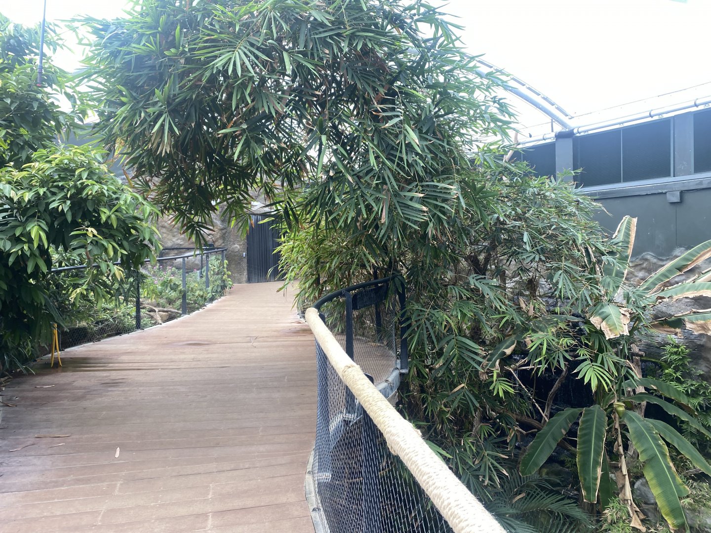 Tropical House 040822