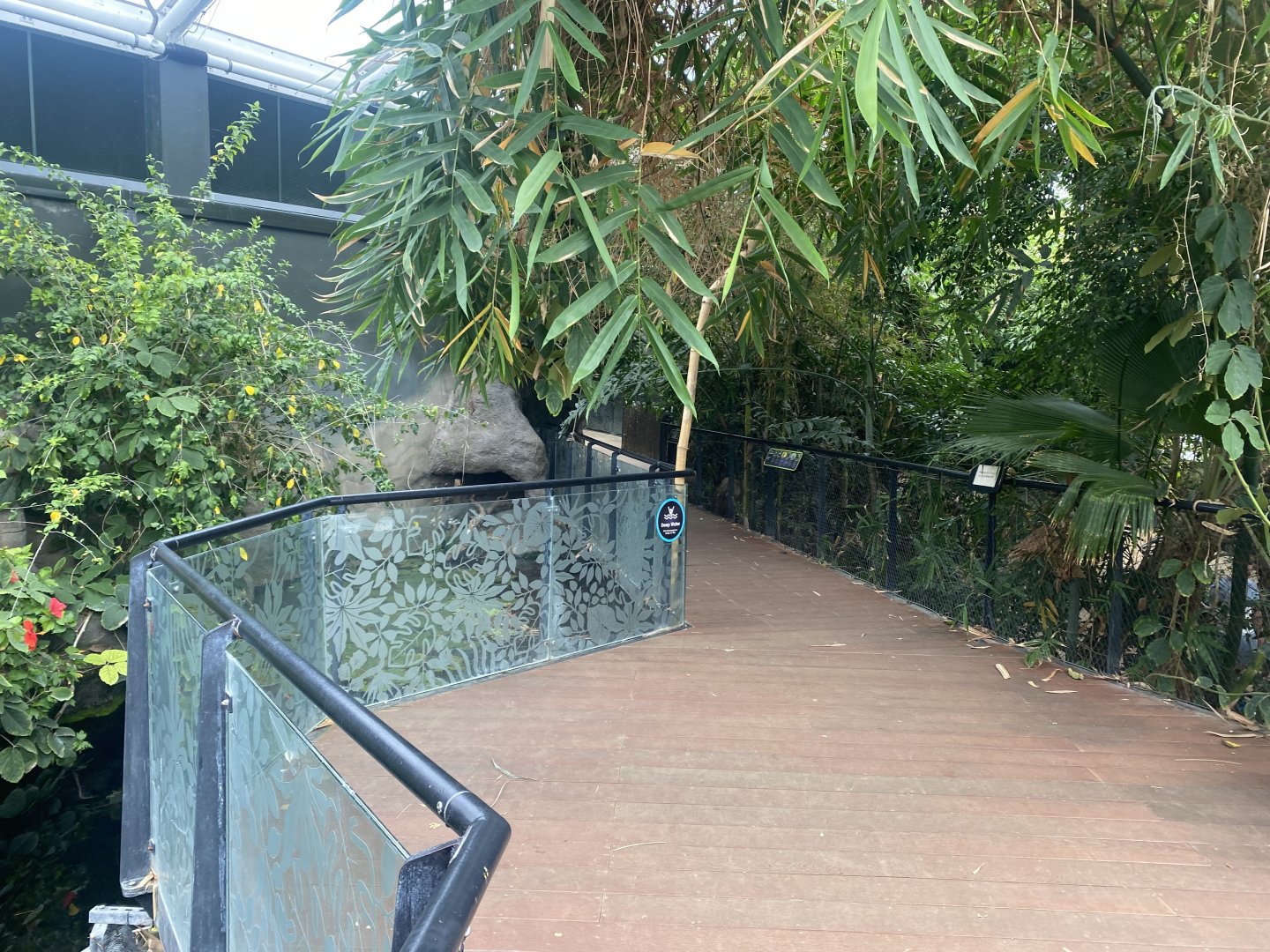 Tropical House 040822