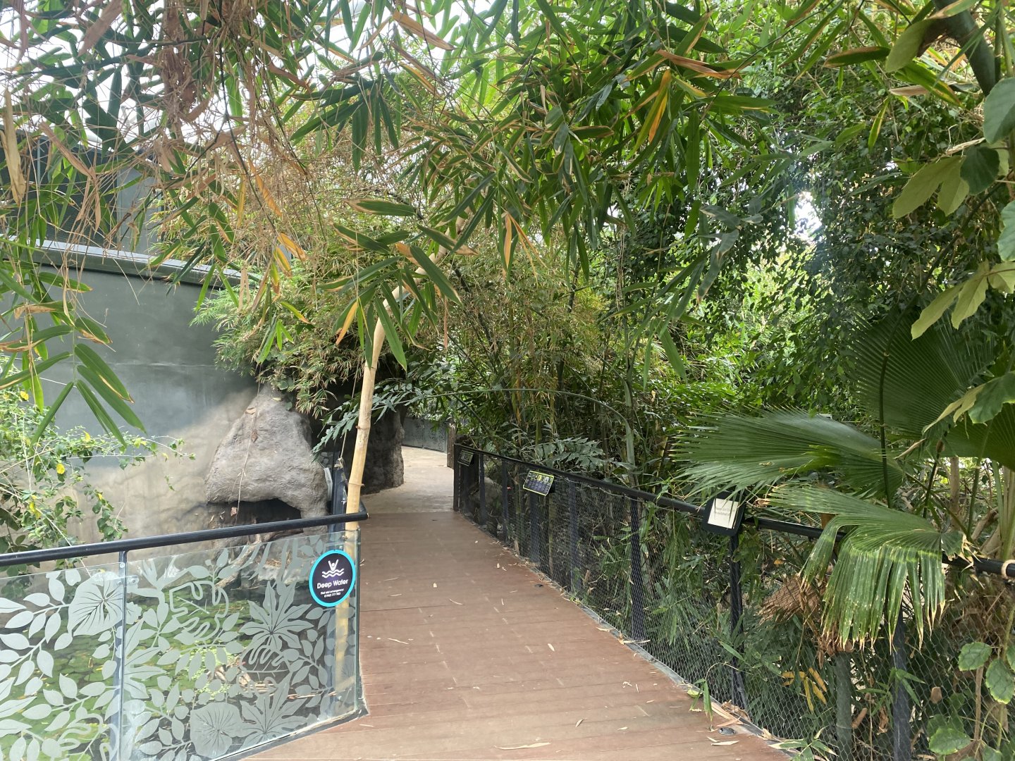 Tropical House 040822