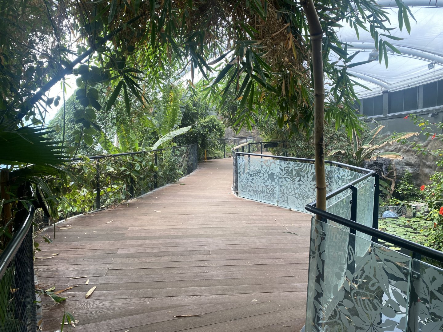 Tropical House 040822