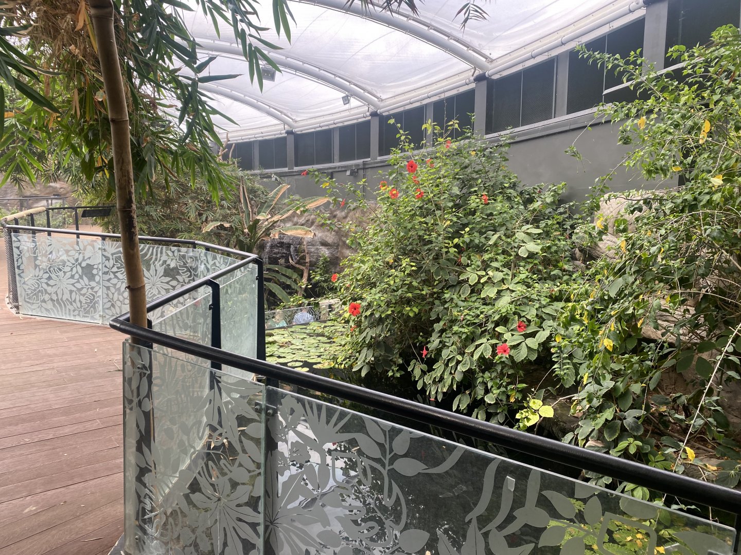 Tropical House 040822