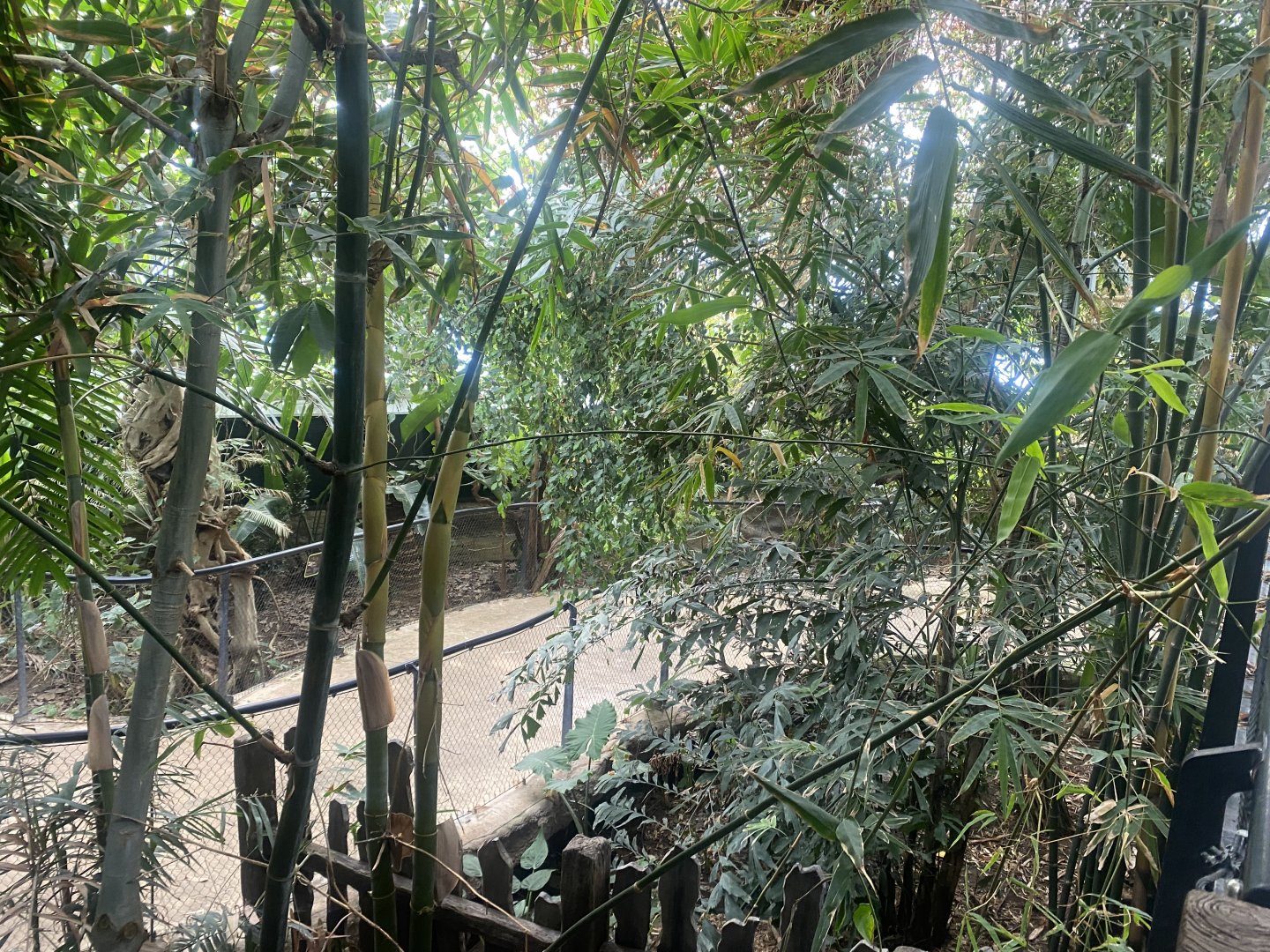 Tropical House 040822