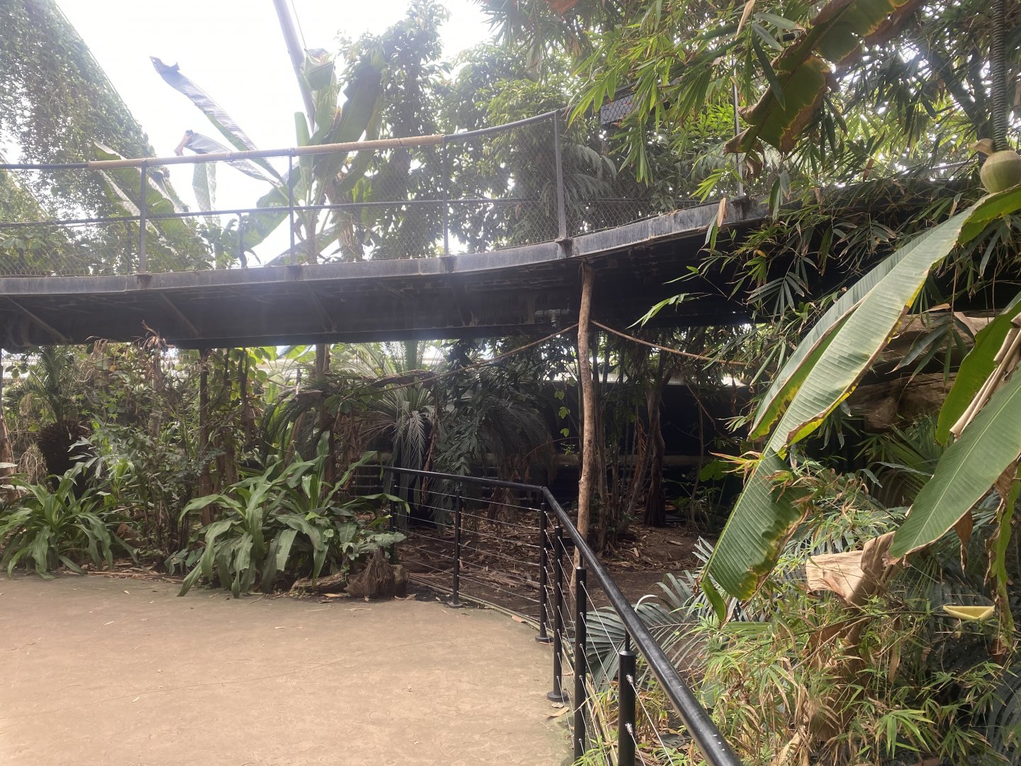 Tropical House 040822