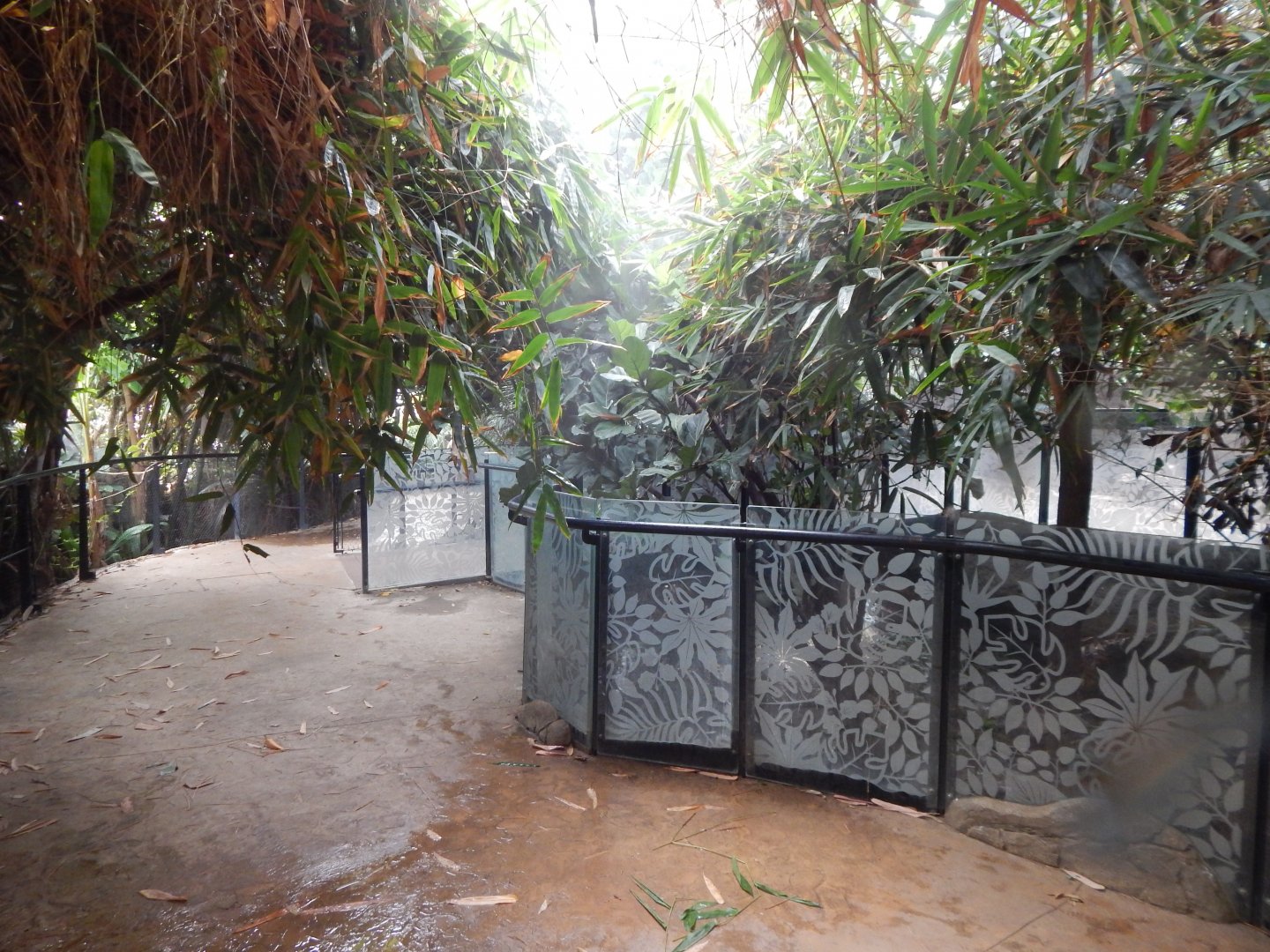 Tropical House 040822