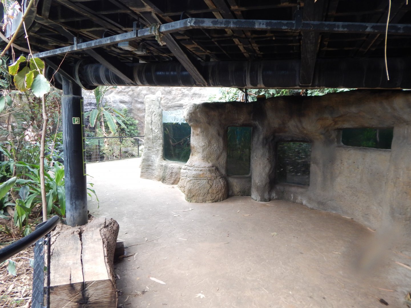 Tropical House 040822