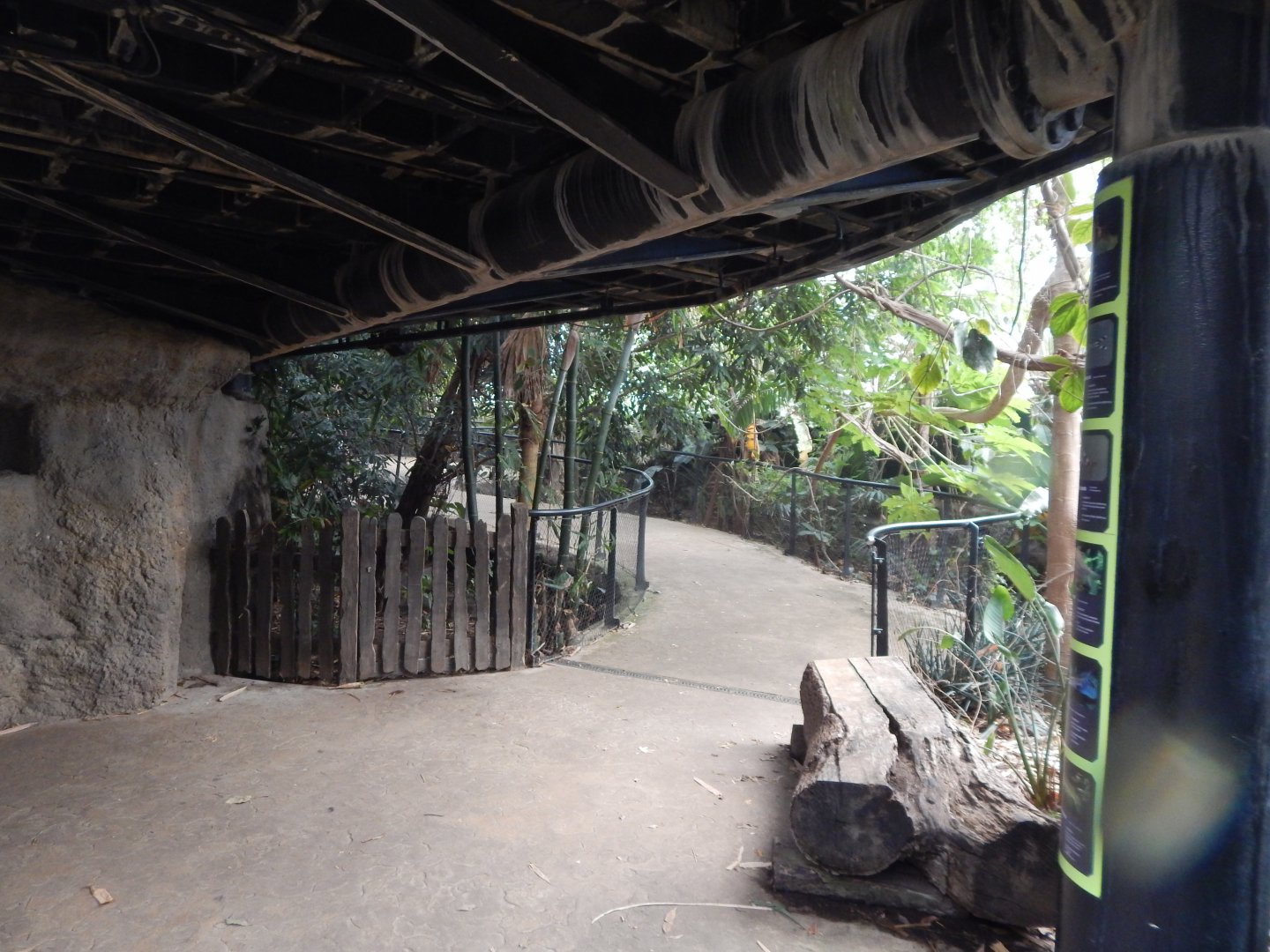 Tropical House 040822