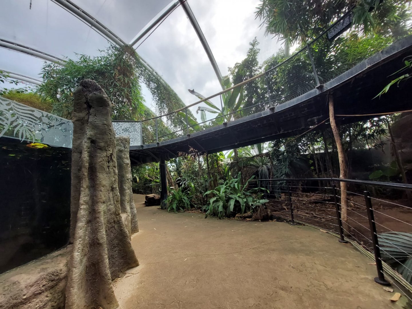 Tropical House 040822