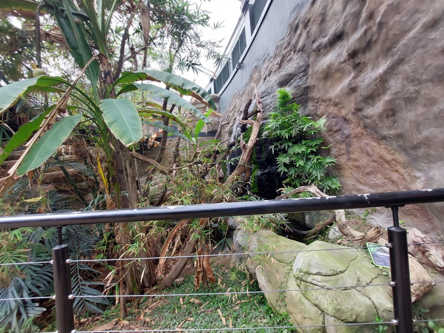 Tropical House 040822