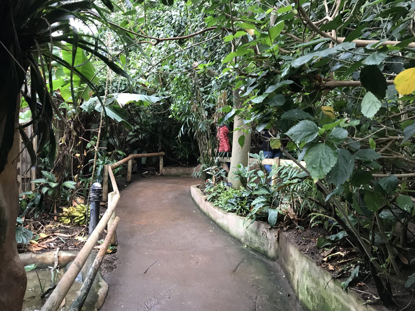 Tropical House 050119